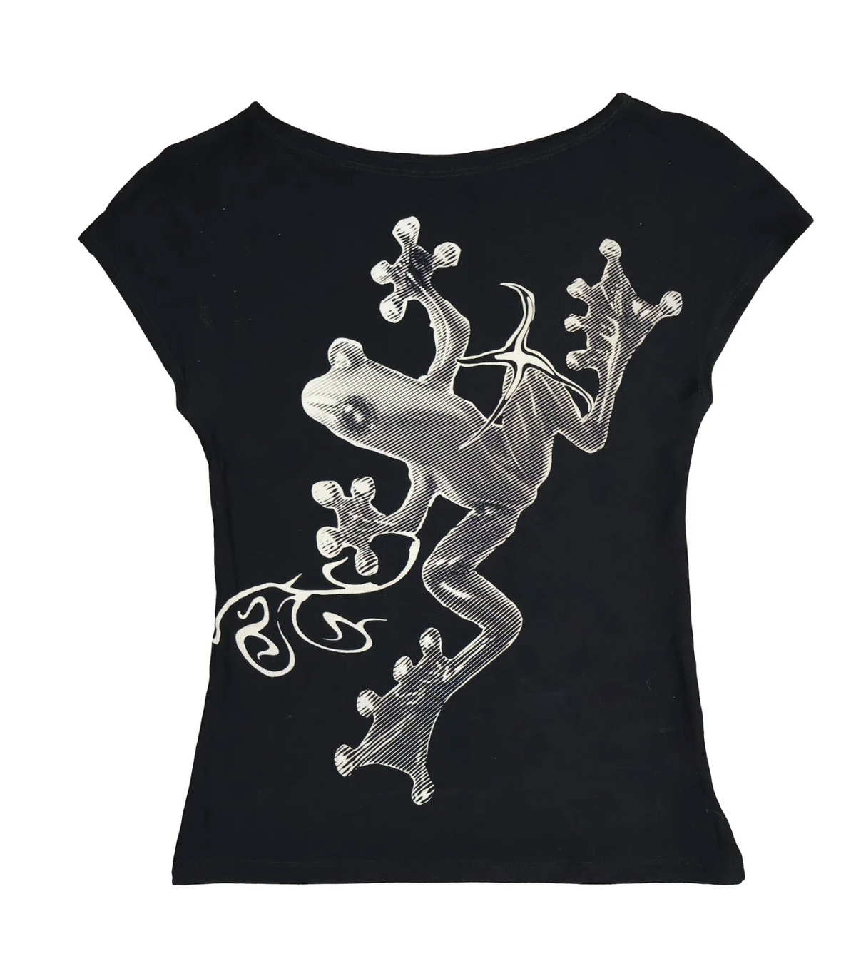 FROGGY TOP