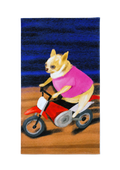 The Rider towel