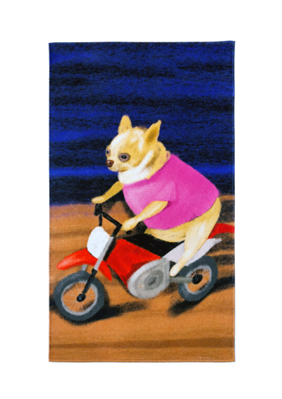 The Rider towel