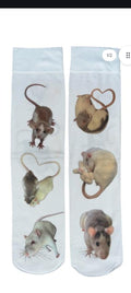 Ratitties stockings